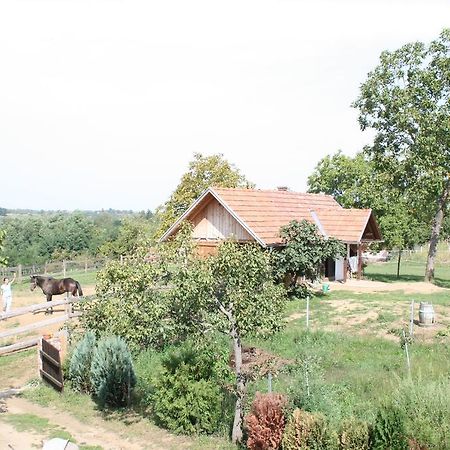 Farmica, Bed&Breakfast, Bazen Izdvojen Nekoliko Minuta Hoda Ðurđevac Chambre photo