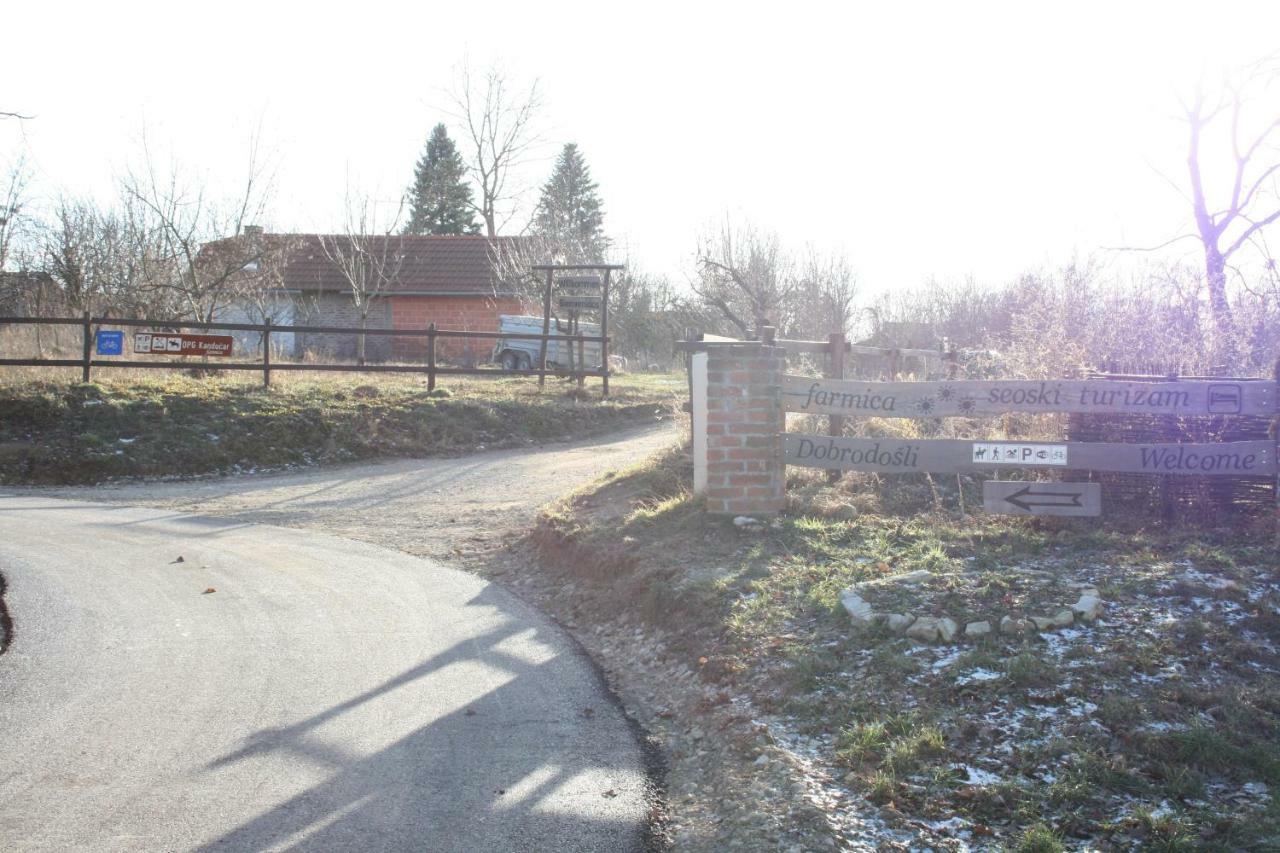 Farmica, Bed&Breakfast, Bazen Izdvojen Nekoliko Minuta Hoda Ðurđevac Extérieur photo